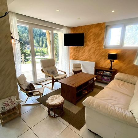 Aux Pieds Des Pistes 4/6 Personnes Appartement Gérardmer Buitenkant foto