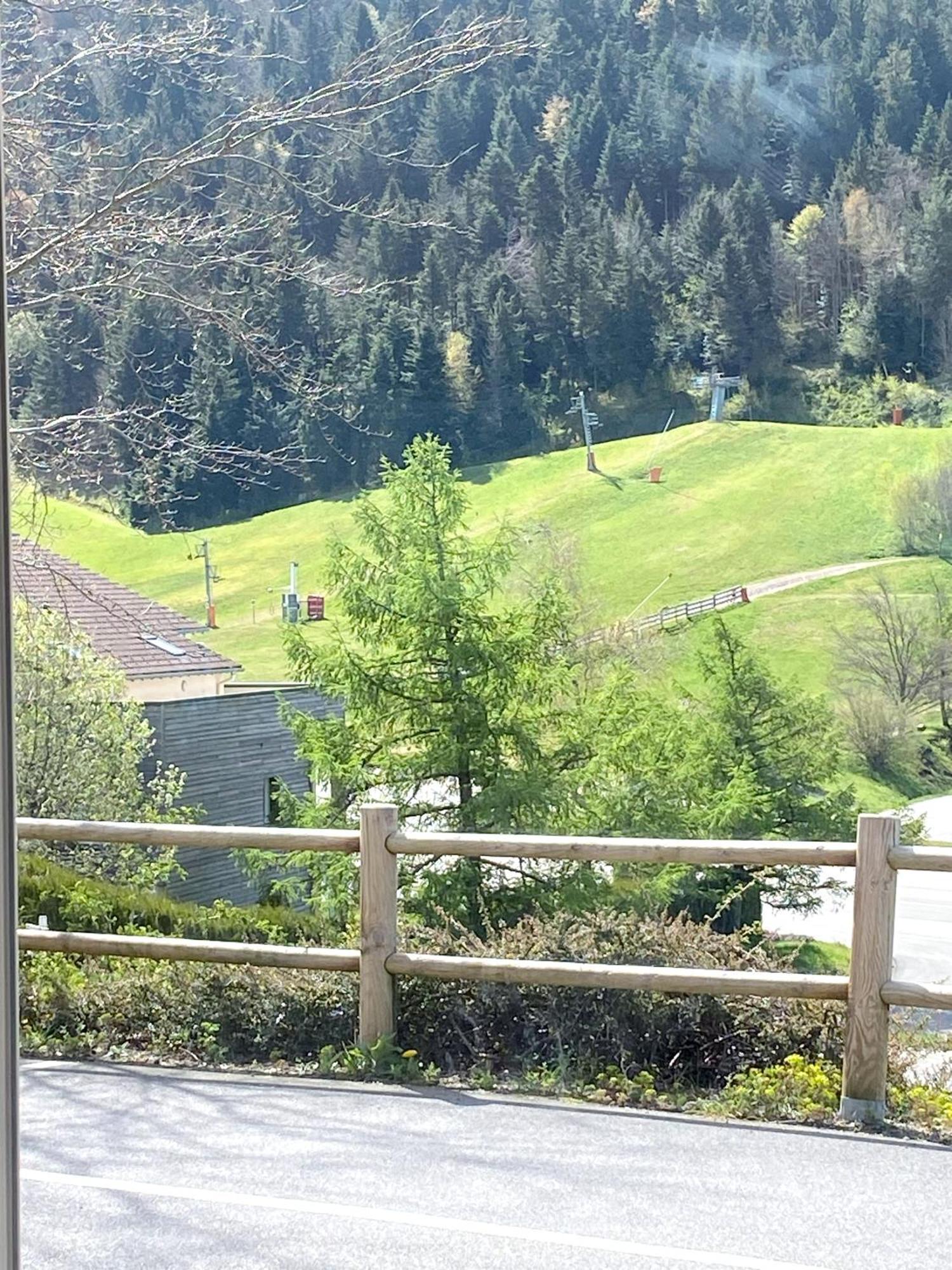Aux Pieds Des Pistes 4/6 Personnes Appartement Gérardmer Buitenkant foto